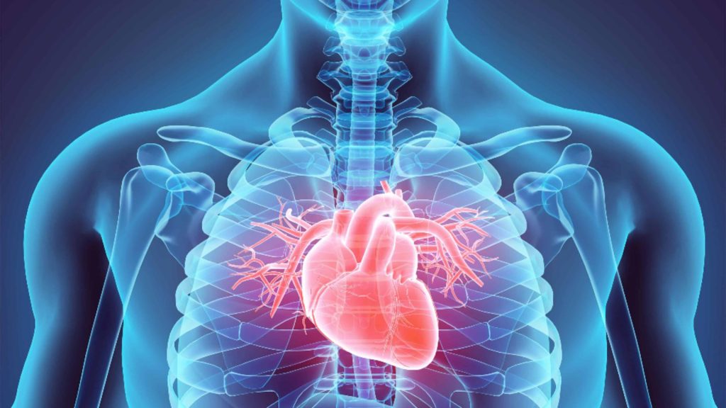 Plasturele minune care vindecă inima. Milioane de pacienți ce se confruntă cu insuficiență cardiacă ar putea fi salvați