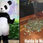 Câți bani face un român îmbrăcat în costum de urs panda în Italia. „Oamenii donează o grămadă. Poliția te lasă în pace, n-are treabă cu tine”