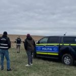 Caz șocant într-o comună din Botoșani. Câini fără stăpân, împușcați ziua în amiaza mare. Politia face o anchetă, ordinul a fost dat chiar de primar