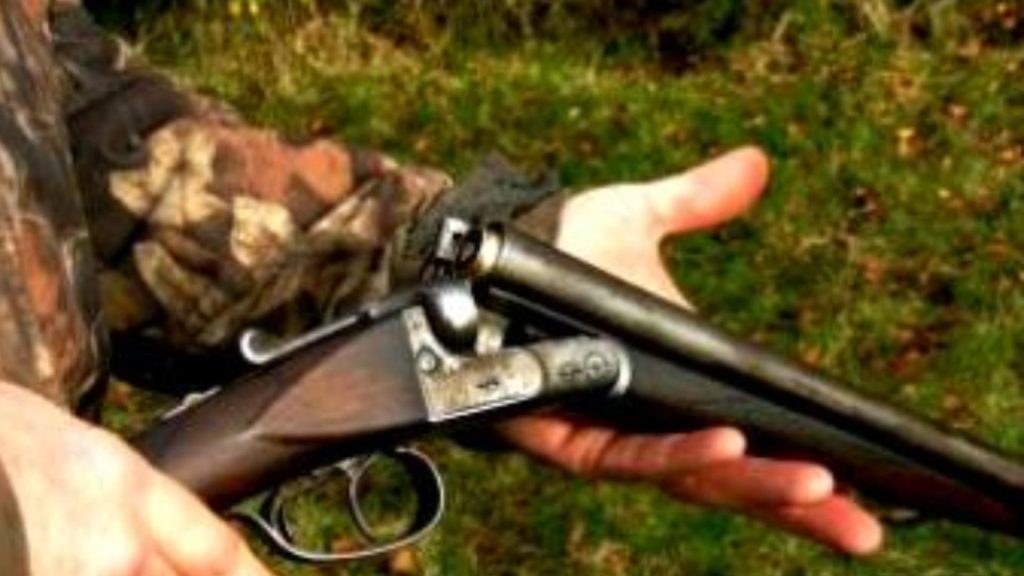 Panică într-un sat din Maramureș. Un individ trage cu arma pe ulițe și amenință că omoară toți câinii din localitate