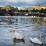 Resursele de apă din Europa sunt în pericol. Doar 27% sunt în stare bună. Restul depășesc limitele toxice