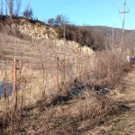 Două fetițe cu vârste de 2 și 3 ani au căzut în apele înghețate ale unei bălți din Mureș. Micuțele au fost resuscitate si duse la spital