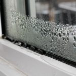 Cum scapi de mirosul de umezeală din casă. Amestecul natural, simplu și ieftin care face minuni