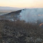 Incendii puternice de vegetație în județul Hunedoara. Peste 90 de hectare de pășuni și litieră de pădure au fost afectate