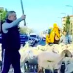 Tunurile imobiliare ale lui Becali. Cum a pus mâna pe serele de la Popești-Leordeni? Afaceri cu clanul sportivilor, cu gajul unor instituții ale statului