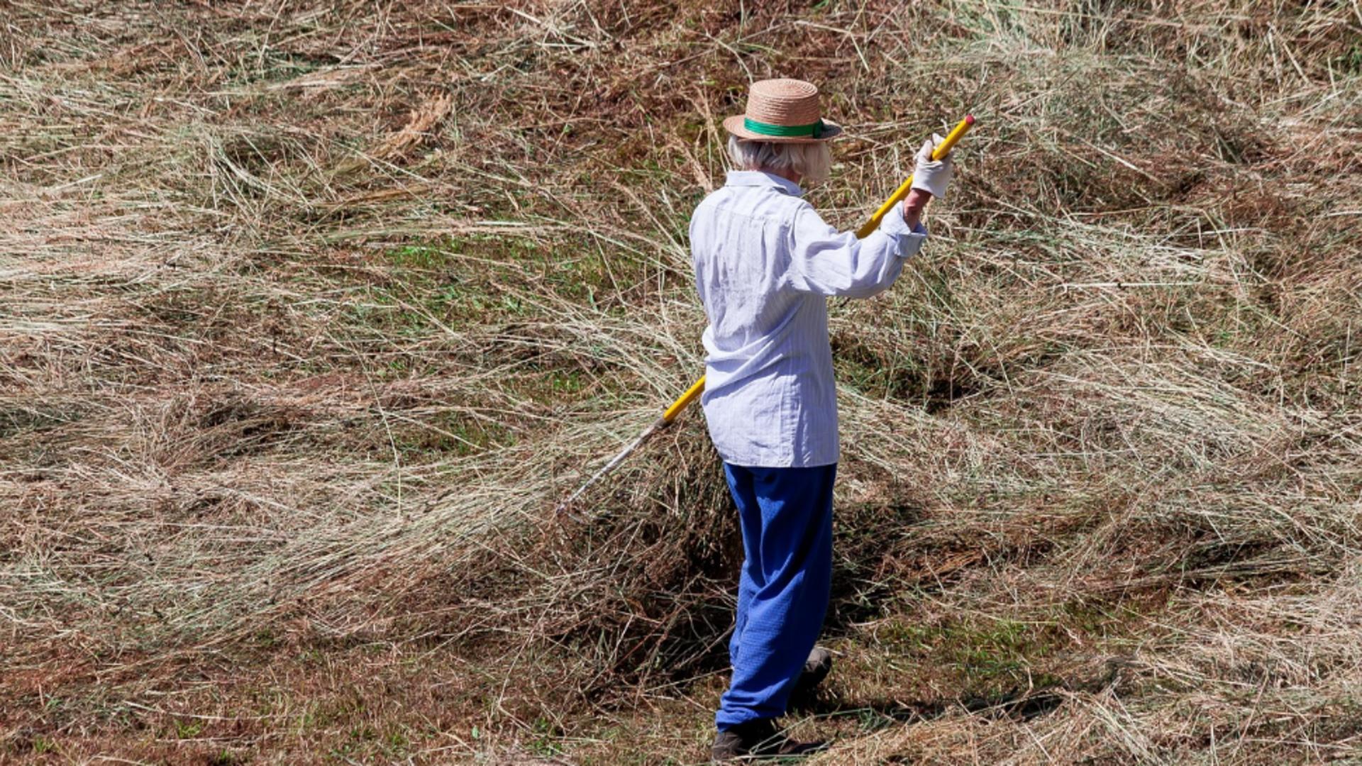 Bani în plus la pensie pentru persoanele care dețin teren agricol