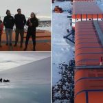 Alertă la o bază de cercetare din Antarctica: oamenii de știință cer evacuarea de urgență din cauza unui coleg agresiv