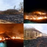 Incendiile de vegetație au scăpat de sub control. Bilanțul autorităților este îngrijorător: peste 10.000 de hectare afectate, doi morți și trei răniți