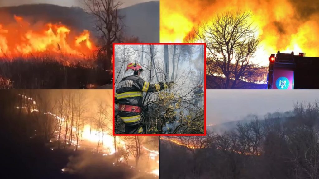 Incendiile de vegetație fac ravagii în România. Mii de hectare de teren au fost distruse în ultimele 24 de ore. Avertismentul IGSU