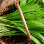 Planta prezentă în toate piețele la începutul primăverii. Este un puternic ENERGIZANT. Când este, de fapt, CONTRAINDICATĂ leurda?