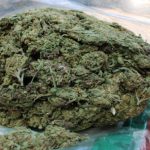 Surpriză pentru un moldovean din Italia: a primit un colet cu 9 kg de marijuana venit din Spania