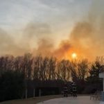 Incendiu de proporții în Delta Dunării: accesul pentru intervenție, imposibil