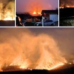 Peste 8.000 de hectare, mistuite de incendiile de vegetație. Polițiștii au început verificările, după ce 20 de incendii au distrus 200 de hectare de teren într-o singură zi