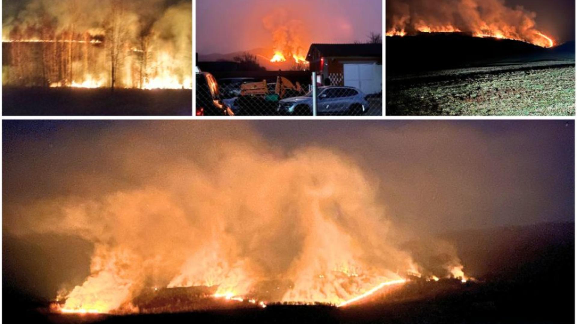 Peste 8.000 de hectare, mistuite de incendiile de vegetație. Polițiștii au început verificările, după ce 20 de incendii au distrus 200 de hectare de teren într-o singură zi
