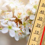 Temperaturi mai ridicate decât cele normale și ploi slabe, până la începutul lunii aprilie. Cum arată noua prognoză meteo, actualizată de ANM