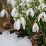 Vremea, sâmbătă, 1 martie. Debut de primăvară cu lapoviță și ploi. Care vor fi temperaturile maxime