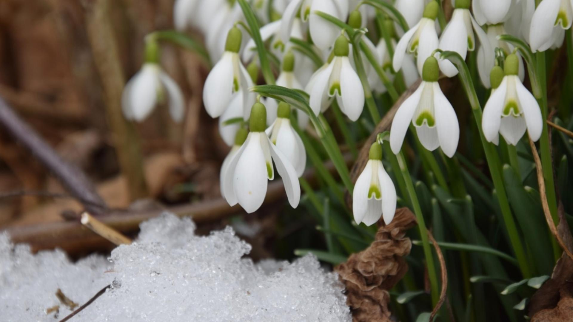 Una caldă, una rece și ploioasă: ANM a actualizat prognoza meteo pe următoarele două săptămâni
