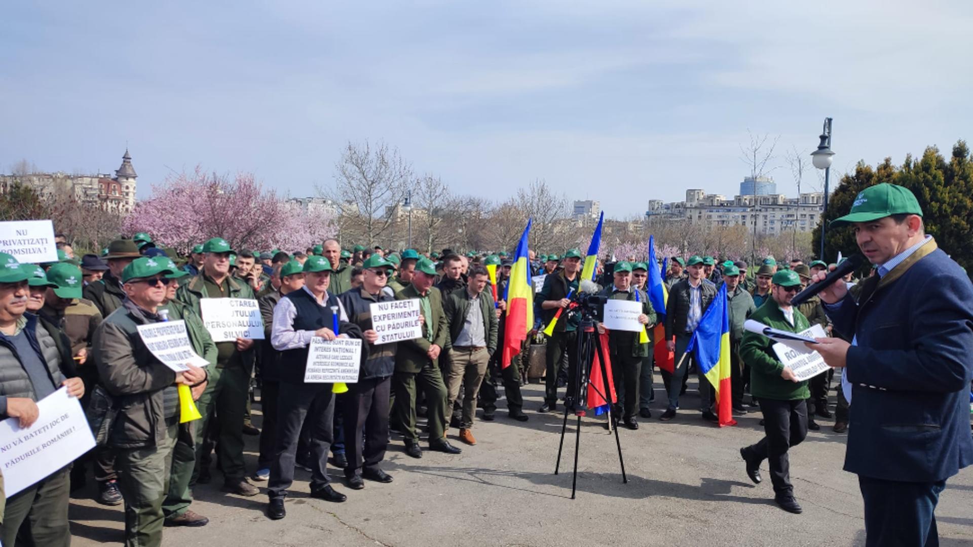 Miting de protest în Piața Victoriei. Silvicultorii ies din nou în stradă: LISTA  de revendicări