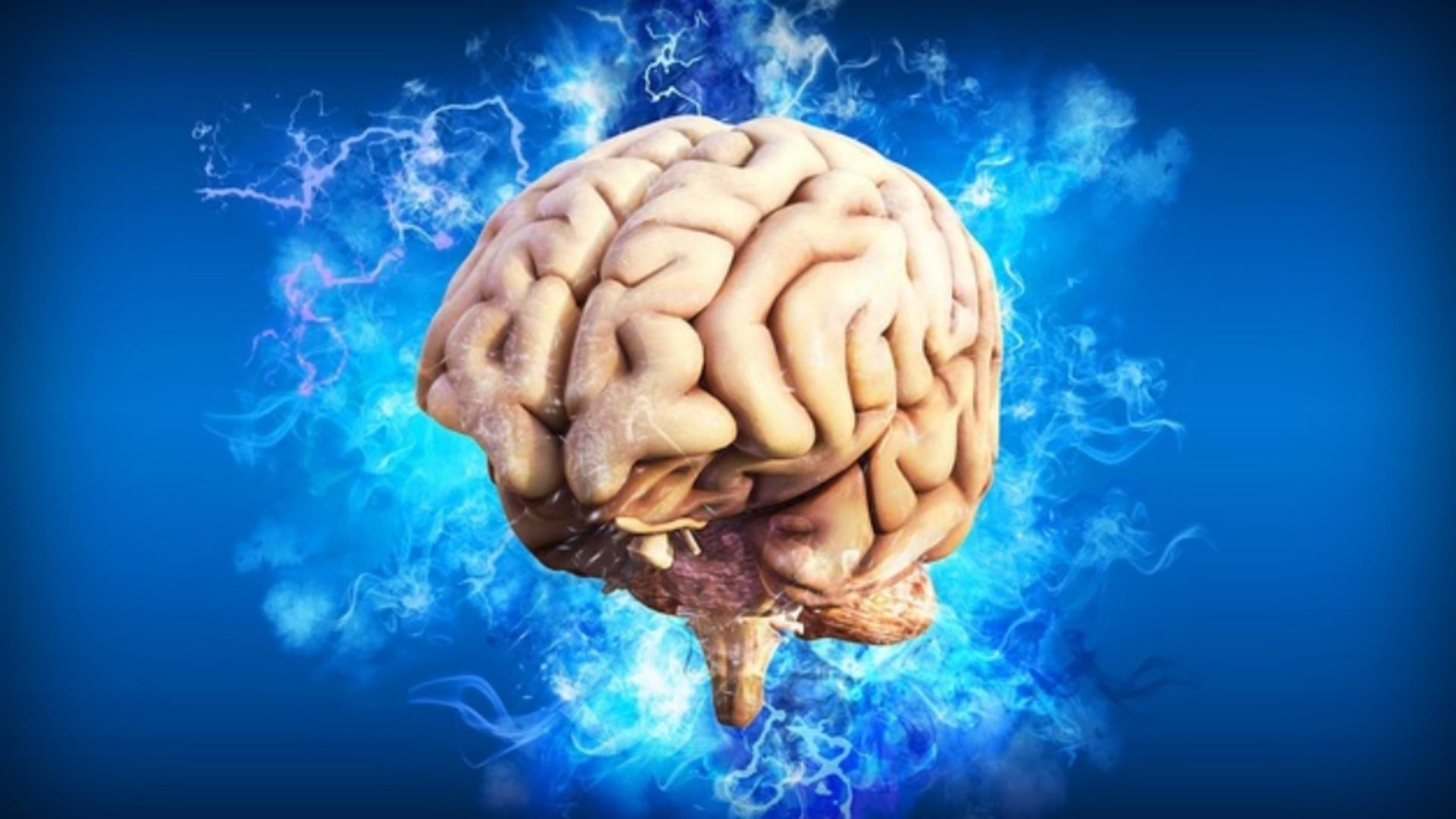 Ce se întâmplă cu creierul tău fără vitamina K? Un nou studiu scoate la iveală efecte surprinzătoare