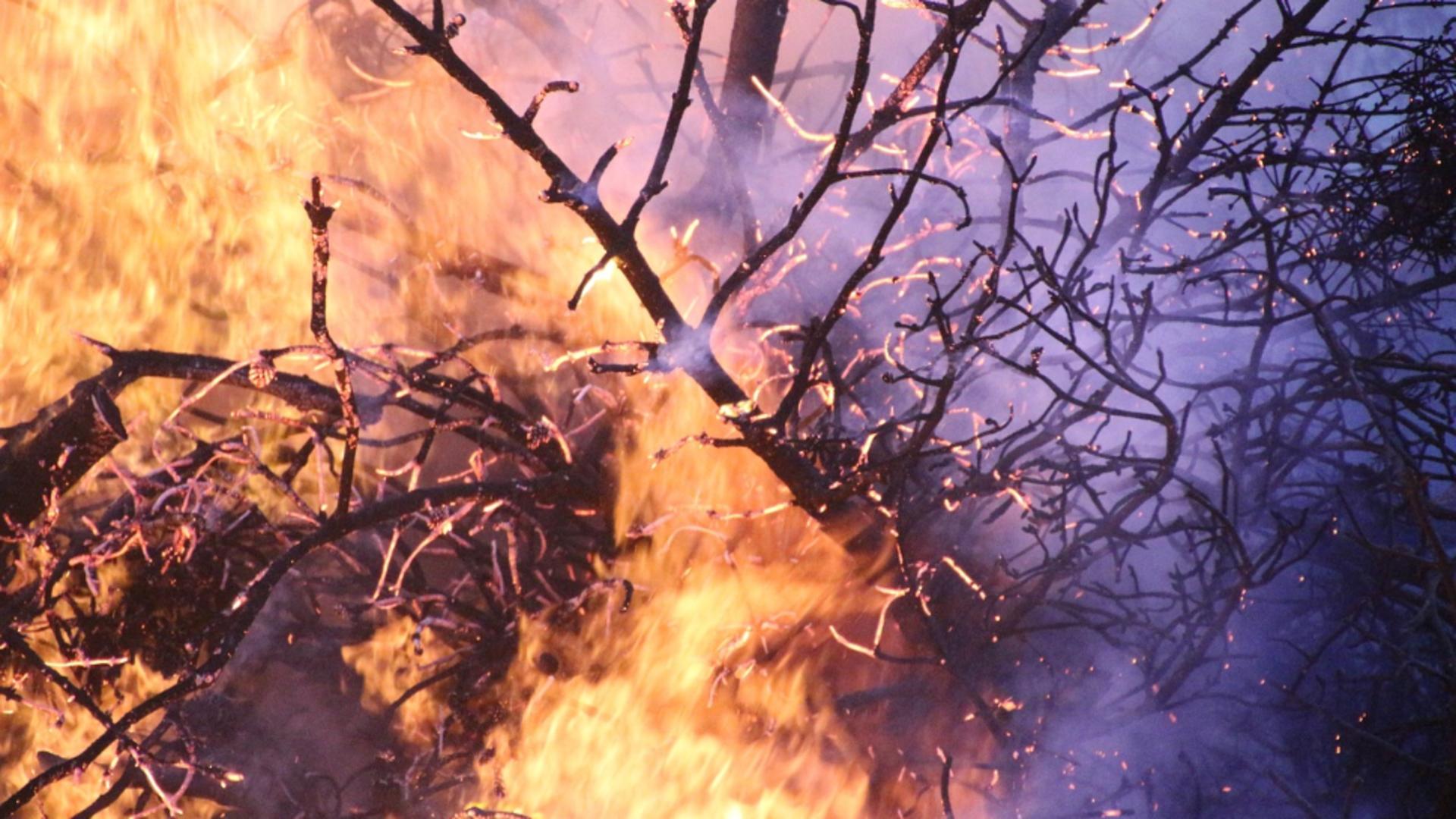 Incendiu de pădure în Argeș: pompierii luptă cu flăcările în condiții extreme, într-o zonă greu accesibilă