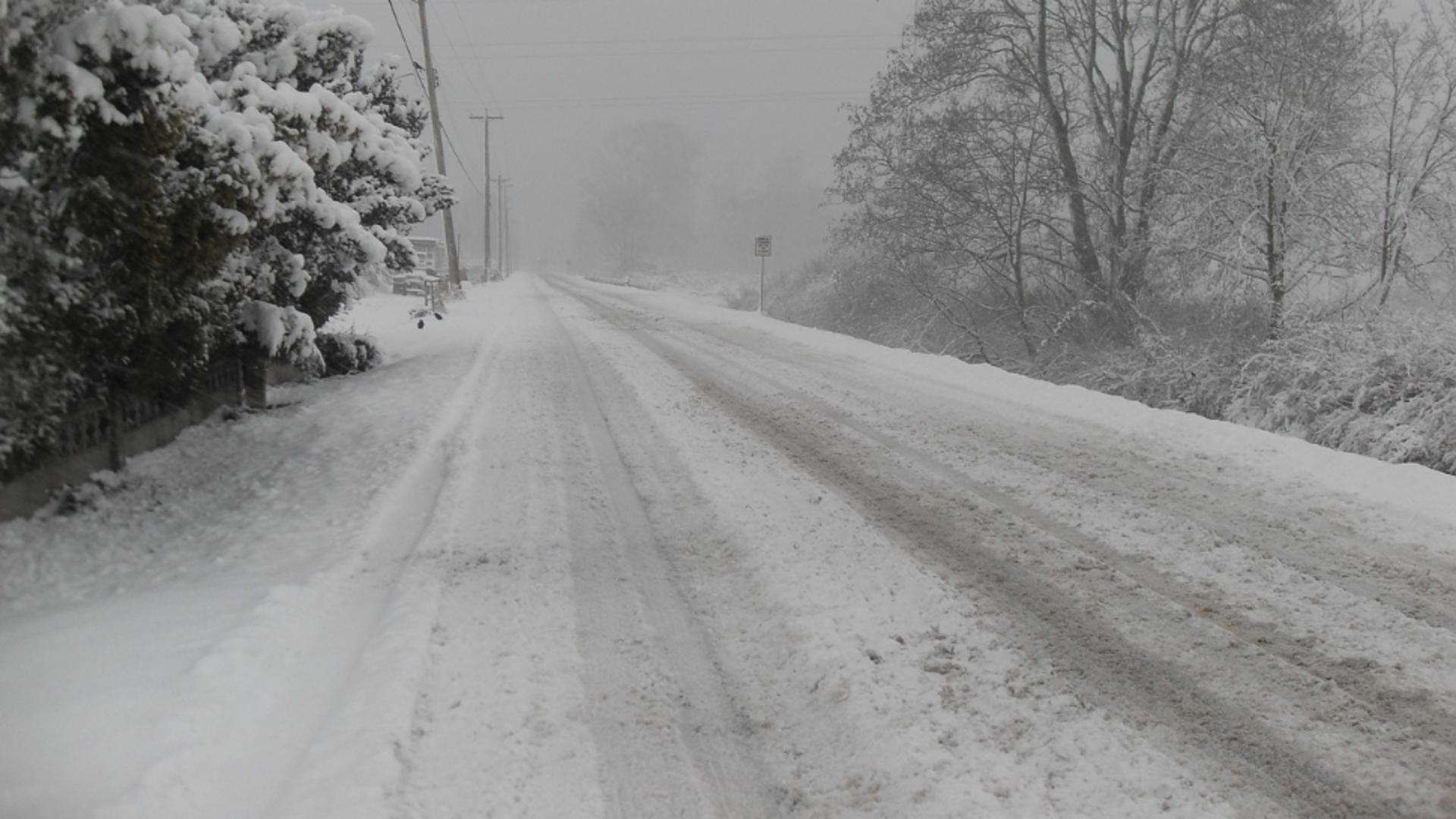 Iarna revine în forță. Cod GALBEN de ploi abundente, ninsori și chiar viscol. Trei sferturi din țară, vizate de avertizarea meteo. Vezi HARTA