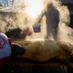 Incident grav la tăierea porcului. Un bărbat și-a înjunghiat partenerul de pahar