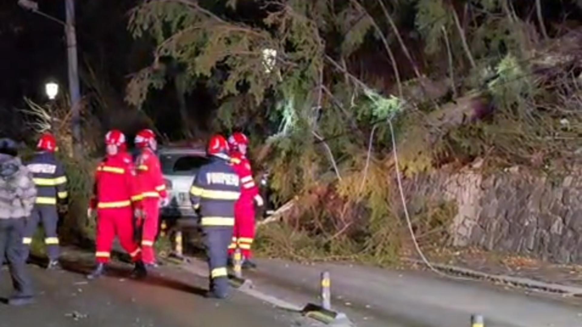 Cod ROȘU de vânt. Autoritățile sunt în alertă: panică pe șosele