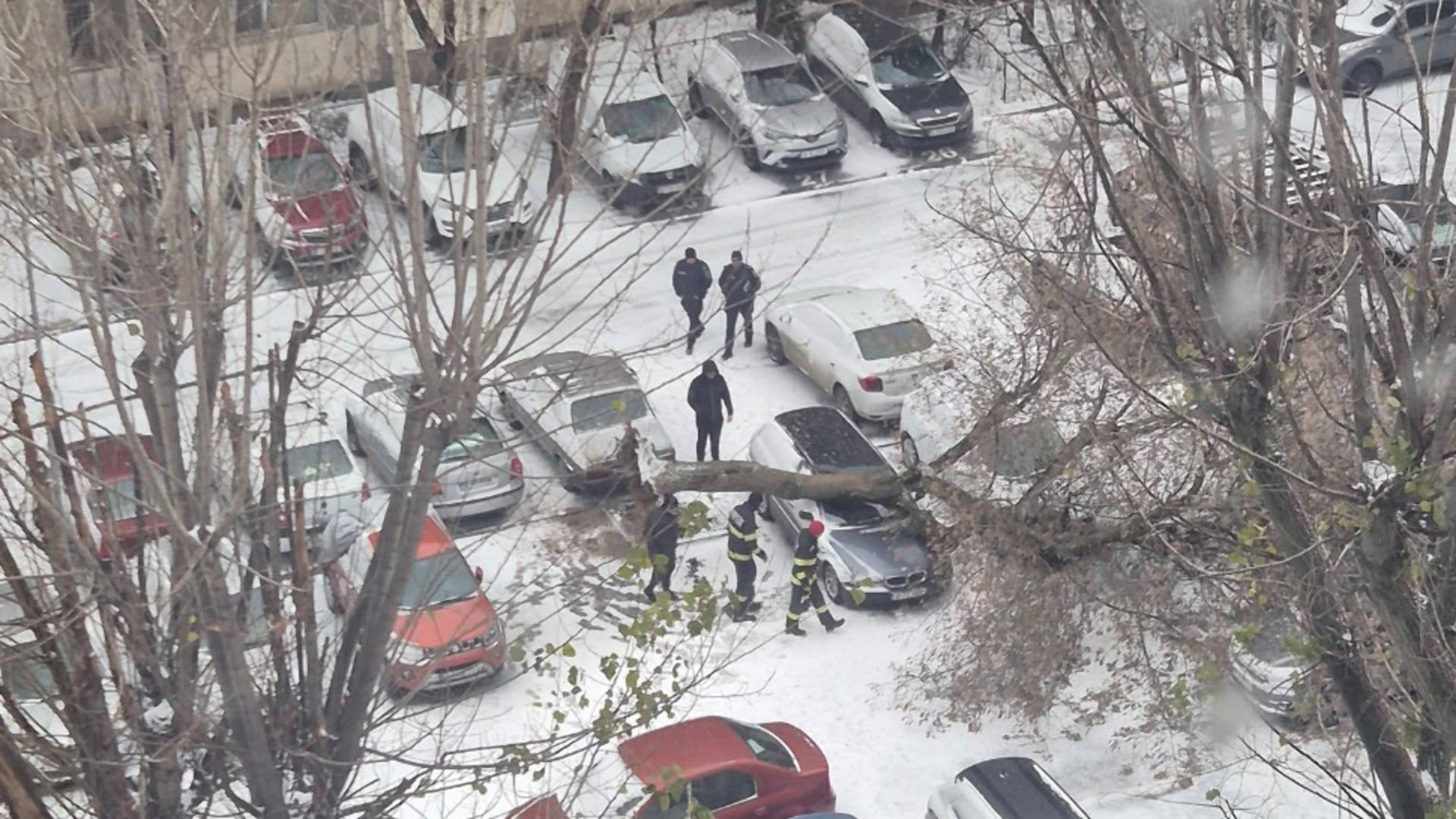 Copac doborât de vântul puternic în Capitală. Avertisment din partea autorităților – FOTO