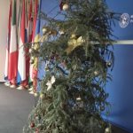 Bradul progresiștilor e ponosit și stă să cadă. Imaginea care spune mai mult decât o mie de discursuri