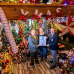 Record spectaculos în Germania: o casă transformată în pădure de Crăciun cu 621 de brazi împodobiți