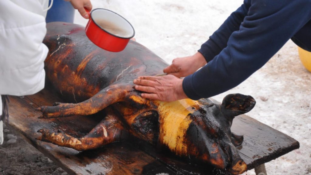 Pe ce dată se taie porcul? Obiceiul de Ignat pe care românii l-au moștenit din moși-strămoși