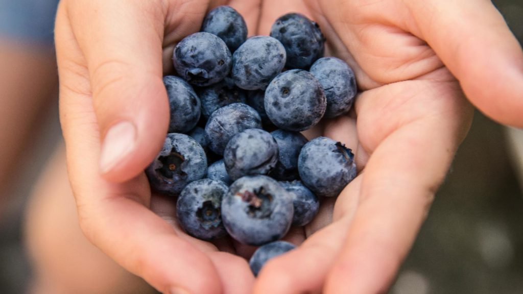 Fructele care îmbunătățesc vederea. Ajută la creșterea acuității vizuale