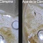 Apa care curge la robinetele oamenilor din Prahova nu este încă potabilă