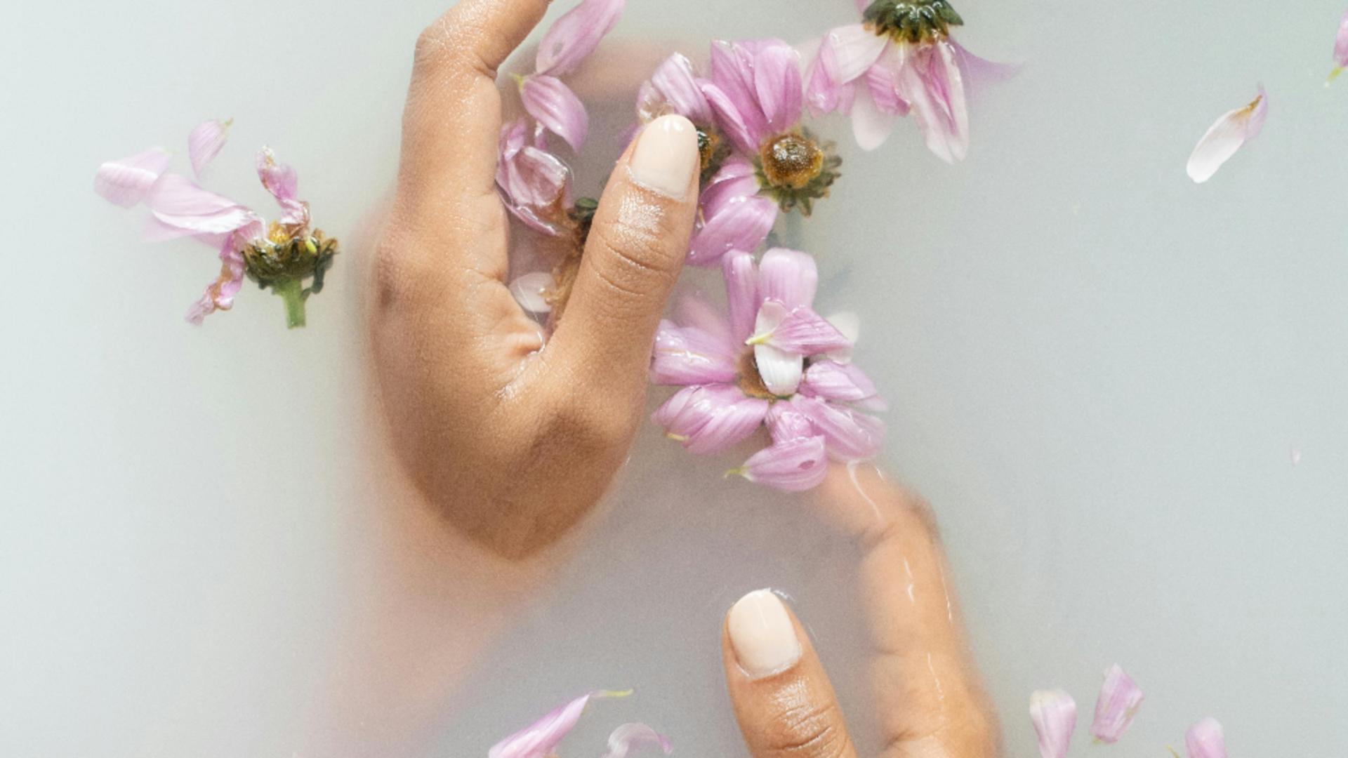 Plantele care alungă oboseala și stresul. Cum le poți folosi în momentele de epuizare, pentru a te revigora