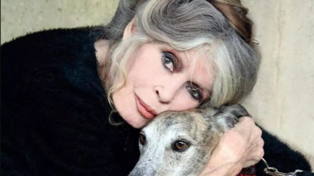 Ultima dorință a lui Brigitte Bardot nu va fi respectată. Schimbare majoră în organizarea funeraliilor actriței‑legendă