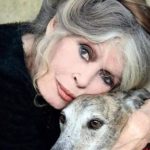 Ultima dorință a lui Brigitte Bardot nu va fi respectată. Schimbare majoră în organizarea funeraliilor actriței‑legendă