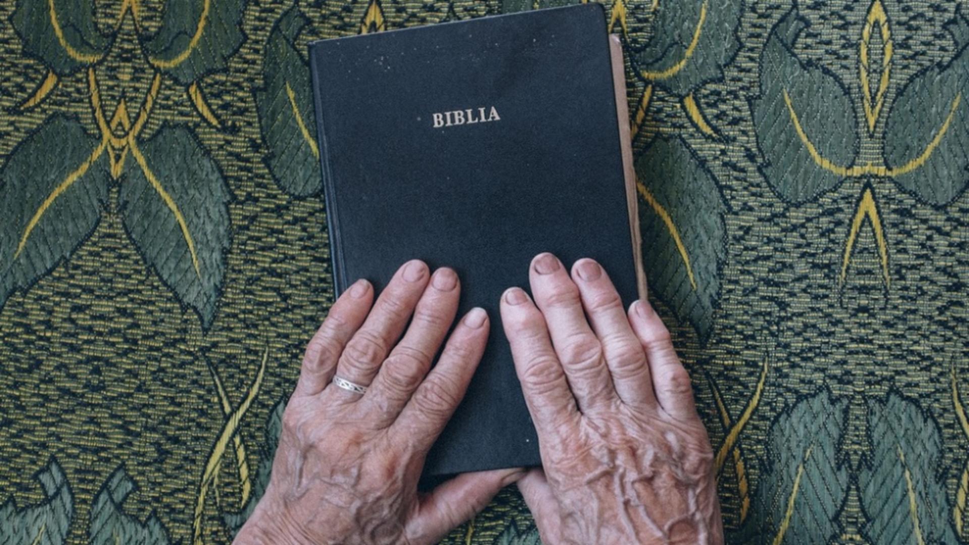 Sărbătoarea zilei, 18 decembrie: Sfântul Daniil Sihastrul. Cruce neagră în calendar