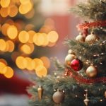 Ce faci cu bradul natural după ce trec sărbătorile. Idei pentru a-l reutiliza fără risipă