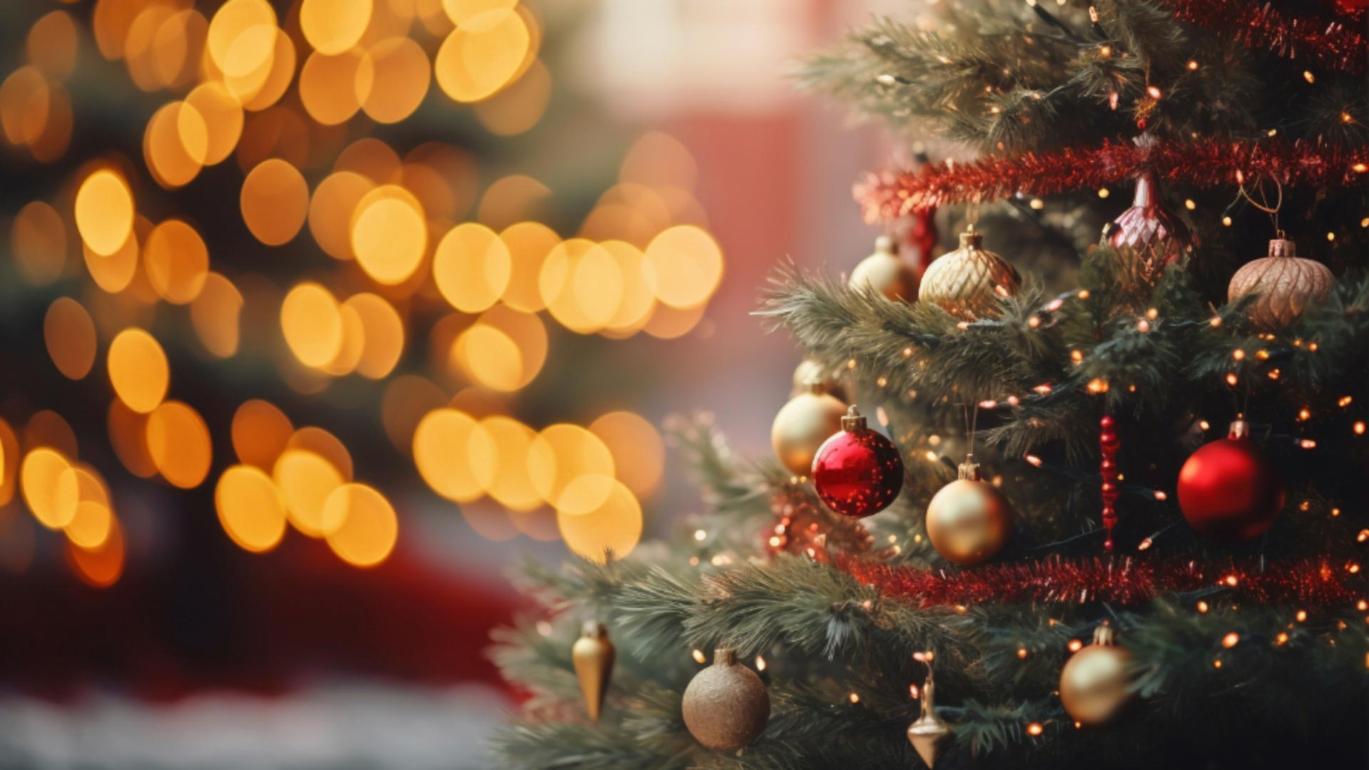 Ce faci cu bradul natural după ce trec sărbătorile. Idei pentru a-l reutiliza fără risipă