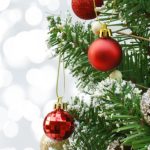 De unde a apărut originea Bradului de Crăciun