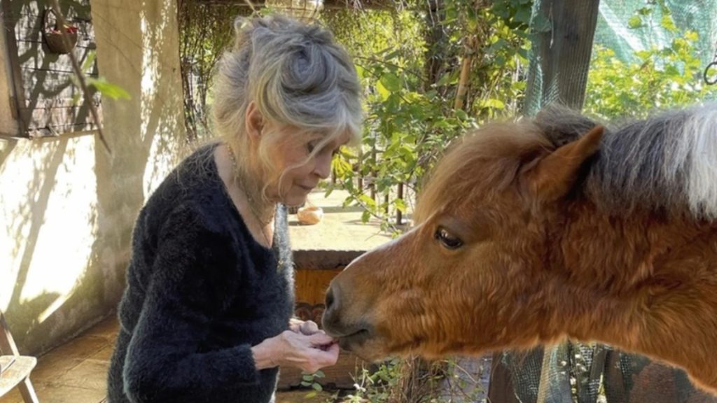 Ultima dorință a lui Brigitte Bardot: va fi înmormântată la Saint-Tropez, alături de animalele pe care le-a iubit