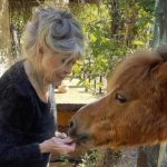 Ultima dorință a lui Brigitte Bardot: va fi înmormântată la Saint-Tropez, alături de animalele pe care le-a iubit