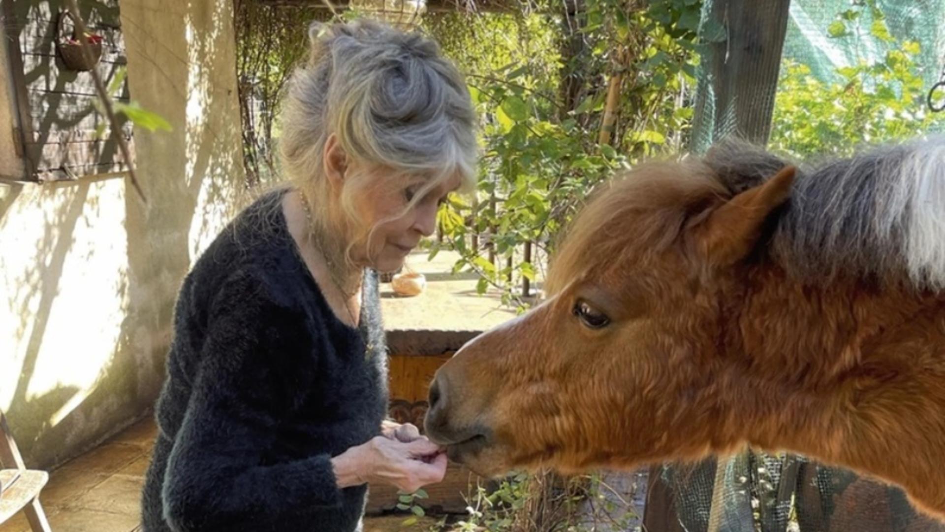 Ultima dorință a lui Brigitte Bardot: va fi înmormântată la Saint-Tropez, alături de animalele pe care le-a iubit