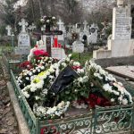 Cum se va împărți averea Rodicăi Stănoiu? La cine ajung vilele?