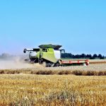 Fermierii își pun speranța în Nicușor Dan. Aceștia fac apel la președinte să nu promulge legea prin care cresc impozitele și taxele