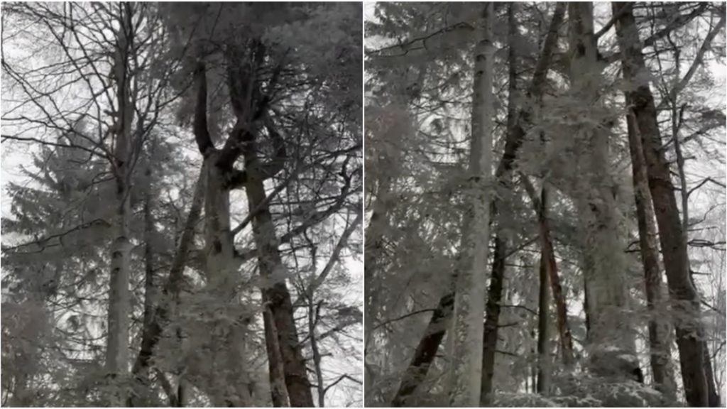 Pericol uriaș pe traseele montane. Avertisemntul salvamontiștilor pentru turiști -VIDEO