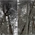 Pericol uriaș pe traseele montane. Avertisemntul salvamontiștilor pentru turiști -VIDEO