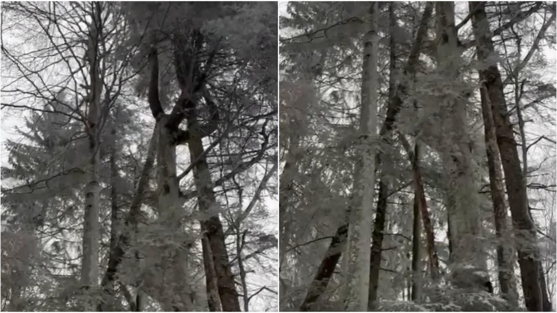 Pericol uriaș pe traseele montane. Avertisemntul salvamontiștilor pentru turiști -VIDEO