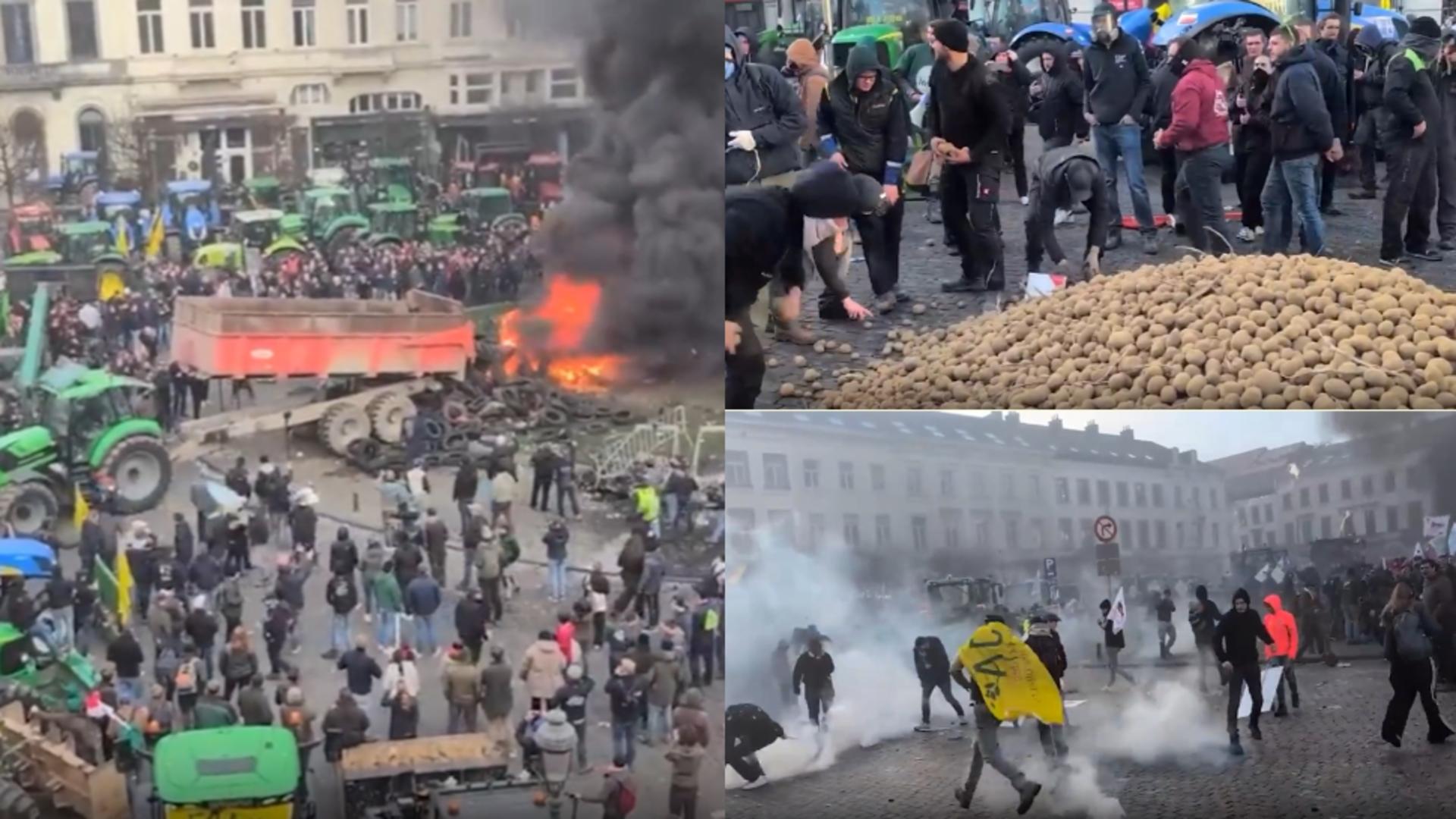 Protestul uriaș al fermierilor, pus pe pauză până în ianuarie. Imagini incredibile: belgienii au luat acasă cartofii aruncați de manifestați