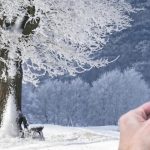 Vânt extrem și GER de Revelion: la ce TEMPERATURI să ne așteptăm în noaptea dintre ani: prognoza ANM